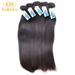 Peruvian Virgin Hair Straight Double Drawn Single Layer