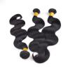 2023 KBL New Arrival Peruvian Body Wave Double Drawn