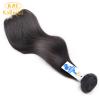Peruvian Virgin Hair Straight Double Drawn Single Layer
