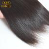 Peruvian Virgin Hair Straight Double Drawn Single Layer
