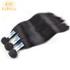 Factory Price Wholesale Price Raw 6A Malaysian Straight Hair