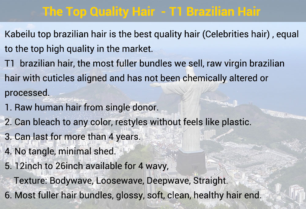 brazilian t1 hair